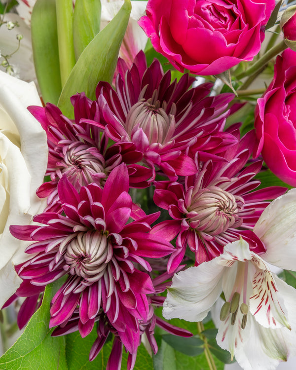 More Than Friends Arrangement | Presch Petals Highland Park Florist