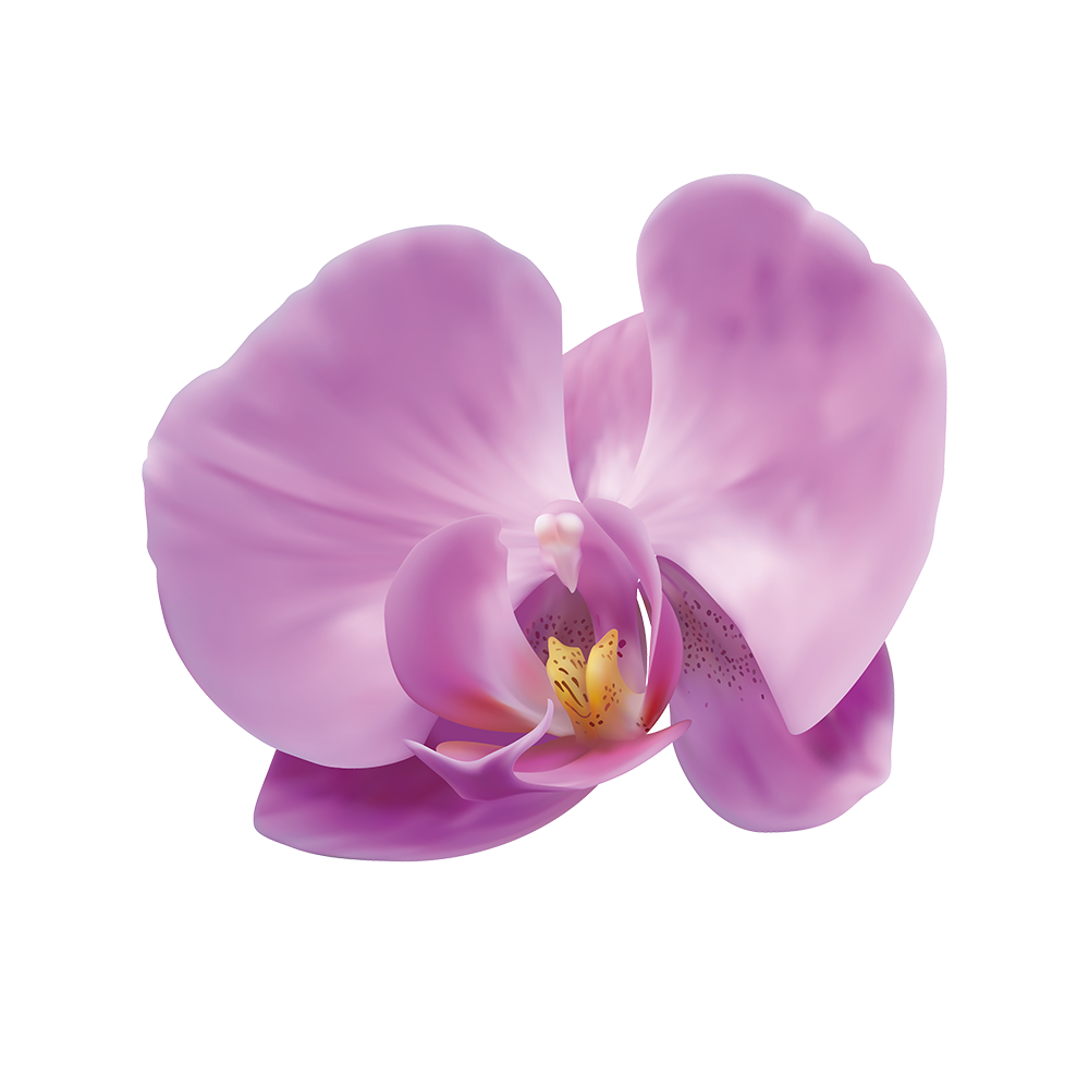 Presch Petals | Dallas Florist | Flower Delivery Dallas