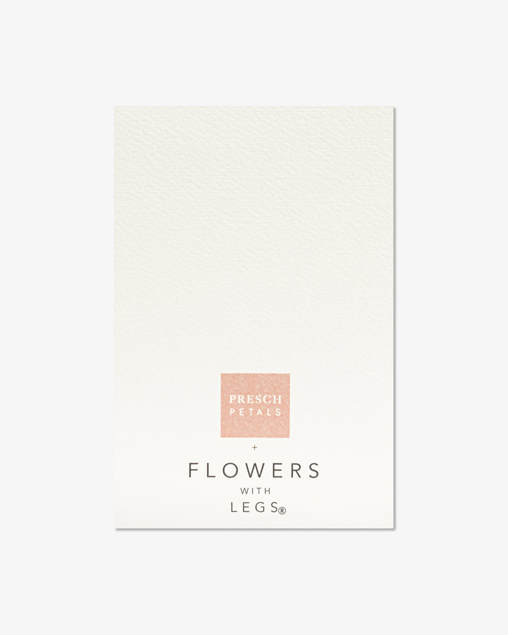 Pink Rose with Cowboy Boots Greeting Card | Presch Petals x Dallas artist Kristen Whalen