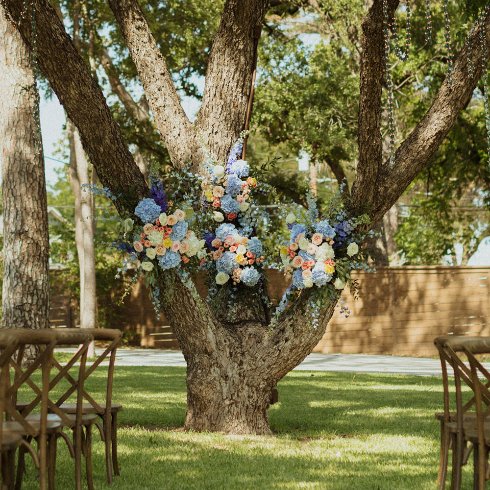 Presch Petals | Dallas Florist | Flower Delivery Dallas