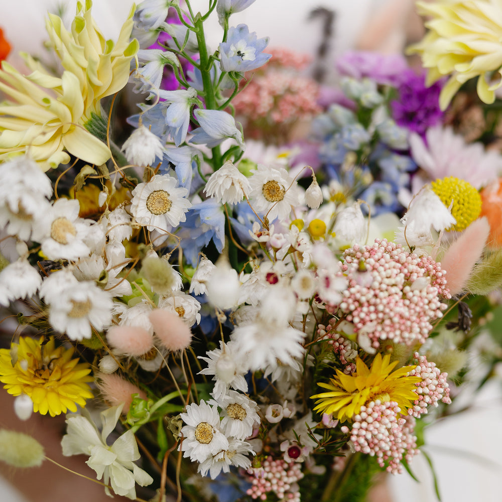 Presch Petals | Dallas Florist | Flower Delivery Dallas
