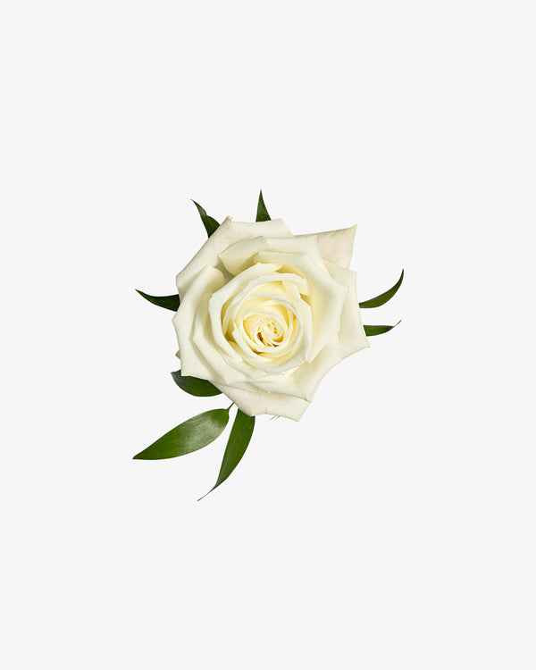Classic Boutonnière