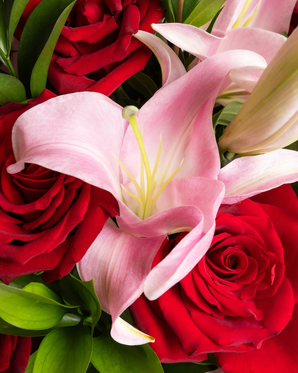 Crimson & Blush Showstopper Arrangement | Presch Petals Dallas Florist