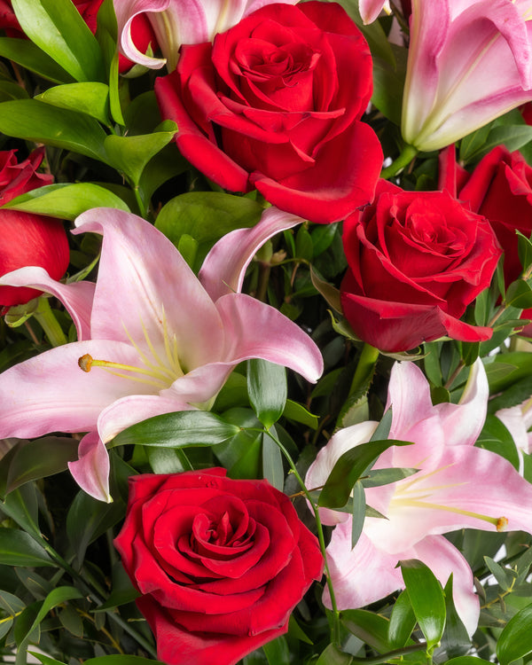 Crimson & Blush Showstopper Arrangement | Presch Petals Dallas Florist