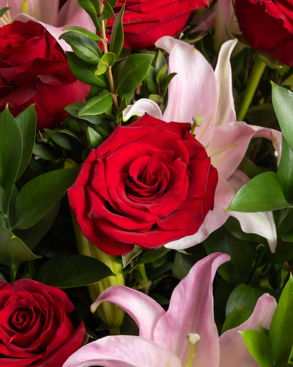 Crimson & Blush Showstopper Arrangement | Presch Petals Dallas Florist