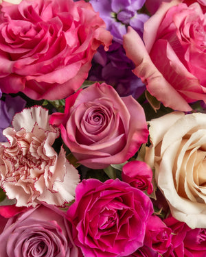 Royal Majesty Arrangement | Presch Petals Dallas Flower Delivery