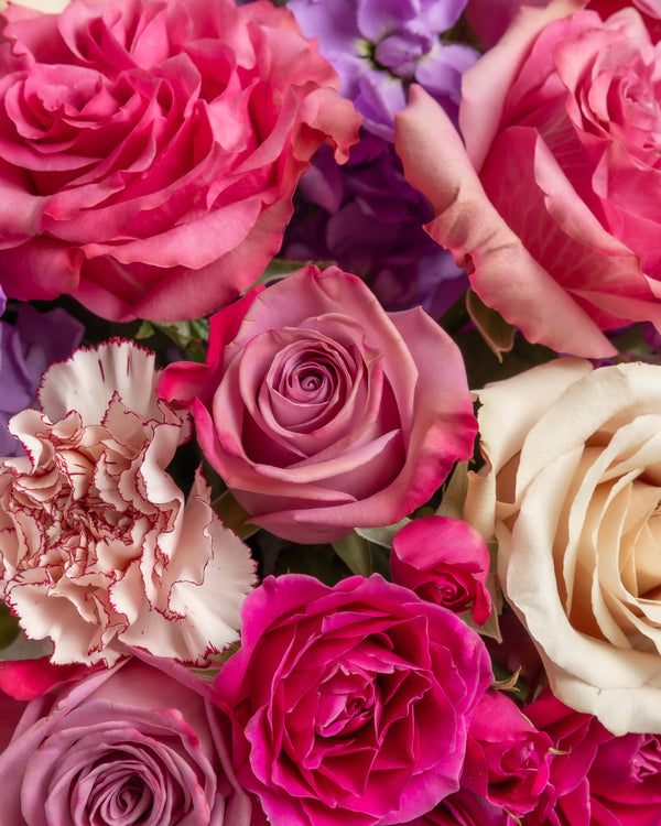 Royal Majesty Arrangement | Presch Petals Dallas Flower Delivery
