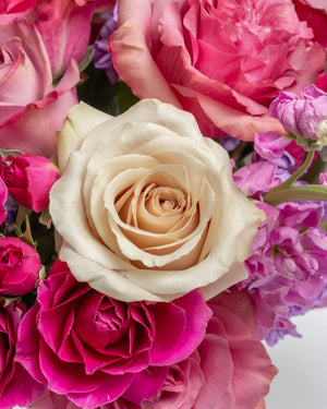 Royal Majesty Arrangement | Presch Petals Dallas Flower Delivery