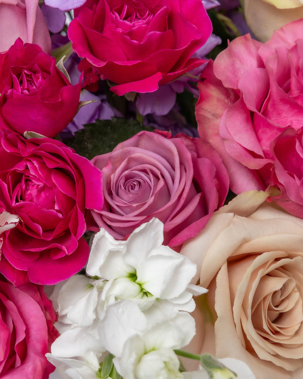 Royal Majesty Arrangement | Presch Petals Dallas Flower Delivery
