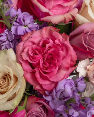 Royal Majesty Arrangement | Presch Petals Dallas Flower Delivery