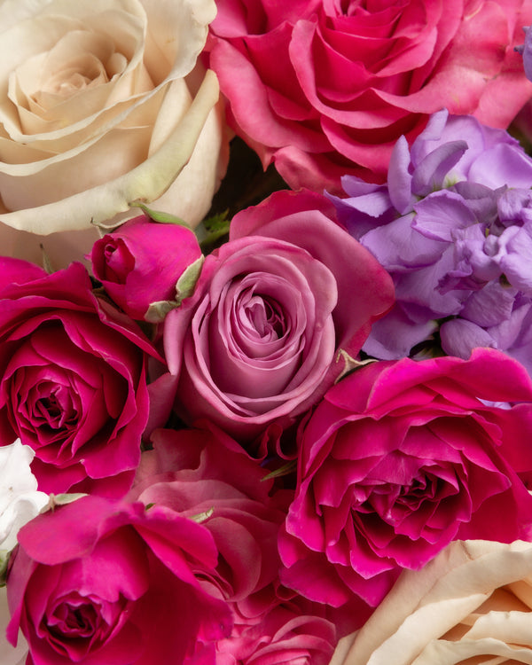 Royal Majesty Arrangement | Presch Petals Dallas Flower Delivery
