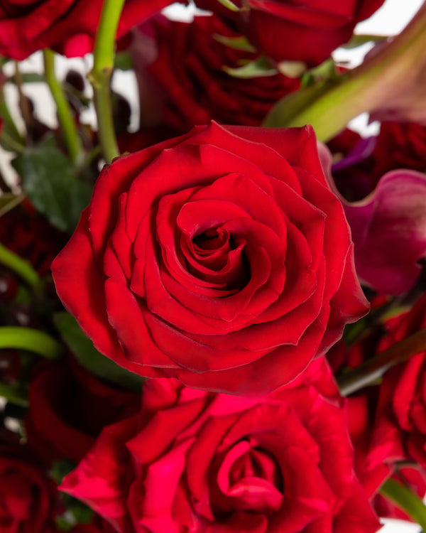 Rose and Lily Arrangement | Presch Petals Flower Arrangements Dallas 