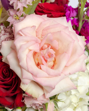 Sunday Kind of Love Flower Arrangement | Presch Petals Highland Park Florist