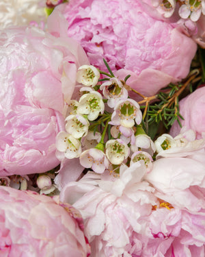 The Presch Peony Bouquet | Dallas Flower Delivery Near Me | Presch Petals
