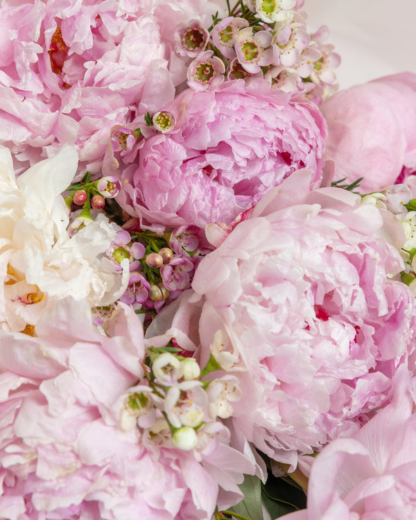 The Presch Peony Bouquet | Dallas Flower Delivery Near Me | Presch Petals