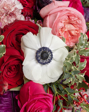 XOXO Valentine's Day Bouquet | Presch Petals Bouquet Delivery Dallas