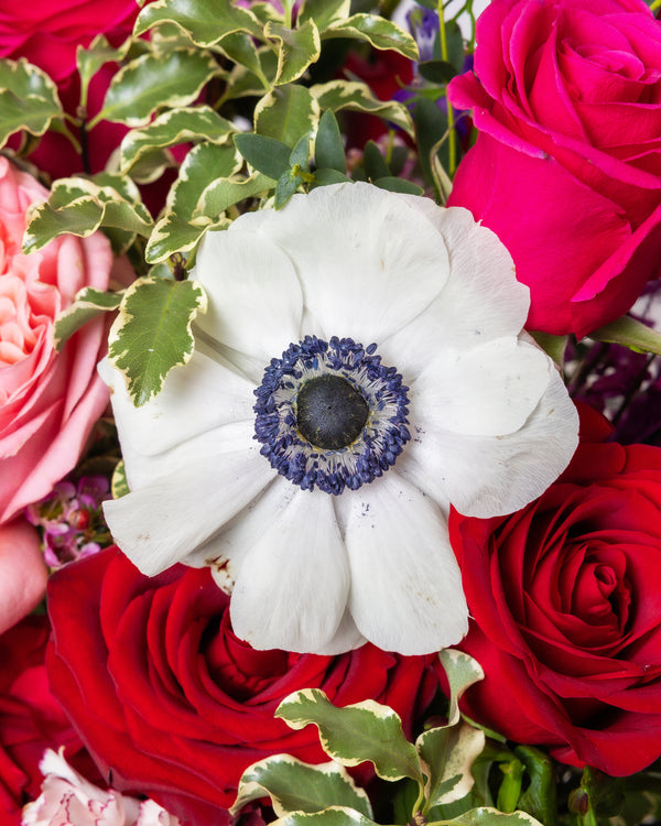 XOXO Pink and Red Flower Valentine's Arrangement | Presch Petals Florist